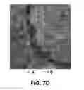 Fig. 23 - Methods and apparatus for phase correction in magnetic resonance imaging