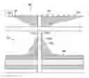 Fig. 01 - Migration velocity analysis method for VSP data