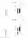 Fig. 09 - Optical device