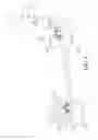 Fig. 04 - RIMLESS EYEGLASSES