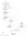 Fig. 09 - Managing a temporal key property in a database management system