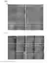 Fig. 03 - Method for assessing cell aging