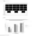 Fig. 04 - Method for assessing cell aging
