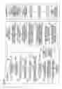 Fig. 46 - Gaming machine and backlit reel device thereof