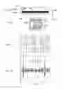Fig. 07 - Servo pattern of a tape storage medium