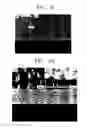Fig. 08 - Anisotropic, transparent, electroconductive, and flexible thin film structure including vertically aligned nanolines and method for preparing same