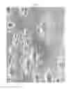 Fig. 03 - Deposition and Selective Removal of Conducting Helplayer for Nanostructure Processing