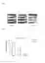 Fig. 05 - Magnetic substance and magnetic substance manufacturing method