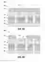 Fig. 07 - Method for forming semiconductor structure