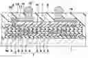 Fig. 01 - Semiconductor device having low dielectric insulating film and manufacturing method of the same