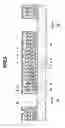Fig. 06 - Semiconductor device having low dielectric insulating film and manufacturing method of the same