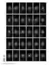Fig. 48 - Semiconductor film, semiconductor device, display device, module, and electronic device