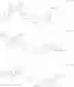 Fig. 15 - Organic light-emitting device