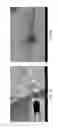 Fig. 02 - Polymer functionalized graphene oxide and thermally responsive ion permeable membranes made therefrom