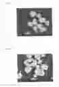Fig. 02 - Process for producing carbonate compound and cathode active material
