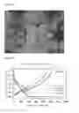 Fig. 07 - High-capacity negative electrode active material and lithium secondary battery including the same