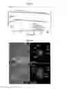 Fig. 06 - Method for forming a reduced graphene oxide/metal sulfide composite and its use as an anode for batteries