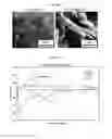 Fig. 09 - Method for forming a reduced graphene oxide/metal sulfide composite and its use as an anode for batteries
