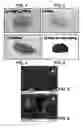 Fig. 02 - Mechanochemical synthesis for preparation of non-PGM electrocatalysts