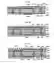 Fig. 09 - Package substrate