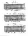 Fig. 10 - Package substrate