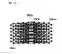 Fig. 12 - Package substrate