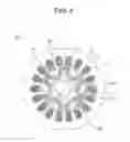 Fig. 02 - Permanent magnet buried type electric motor and compressor