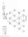 Fig. 17 - Path diversity with poly-phase links in a power line communication network
