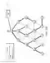 Fig. 18 - Path diversity with poly-phase links in a power line communication network
