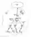 Fig. 01 - Virtual local area network mismatch detection in networks