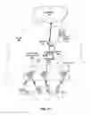 Fig. 04 - Virtual local area network mismatch detection in networks