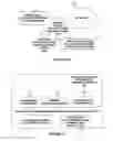 Fig. 03 - Service node using services applied by an application node