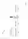 Fig. 07 - CONTENT AWARE WI-FI QoS