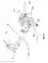 Fig. 07 - Devices and methods for generating a 3D imaging dataset of an object