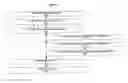 Fig. 07 - Smart interactive media content guide