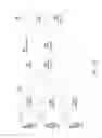 Fig. 05 - SHORT MESSAGE SERVICE IN PROSE