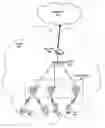 Fig. 01 - Distributed method for client optimization