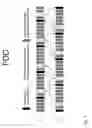 Fig. 08 - Physical channel design for network-assisted D2D
