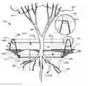 Fig. 01 - Tree and plant watering systems