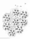 Fig. 01 - ARTIFICIAL SOIL MEDIUM