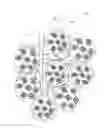 Fig. 02 - ARTIFICIAL SOIL MEDIUM