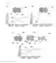 Fig. 07 - ARTIFICIAL SOIL MEDIUM
