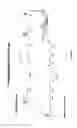Fig. 03 - Humanized IL-4 and IL-4Ra animals