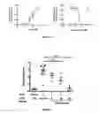 Fig. 08 - Humanized IL-4 and IL-4Ra animals