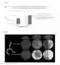 Fig. 07 - Methods of use of seed-origin endophyte populations