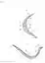 Fig. 06 - Cup for brassiere and brassiere and method for producing the same