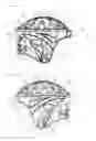 Fig. 12 - PROTECTIVE LIGHTWEIGHT HELMET