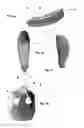 Fig. 02 - BAREFOOT SHOE