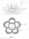 Fig. 08 - Jewellery with securely nested changeable decorative elements