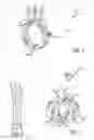 Fig. 02 - Interchangeable jewelry setting system